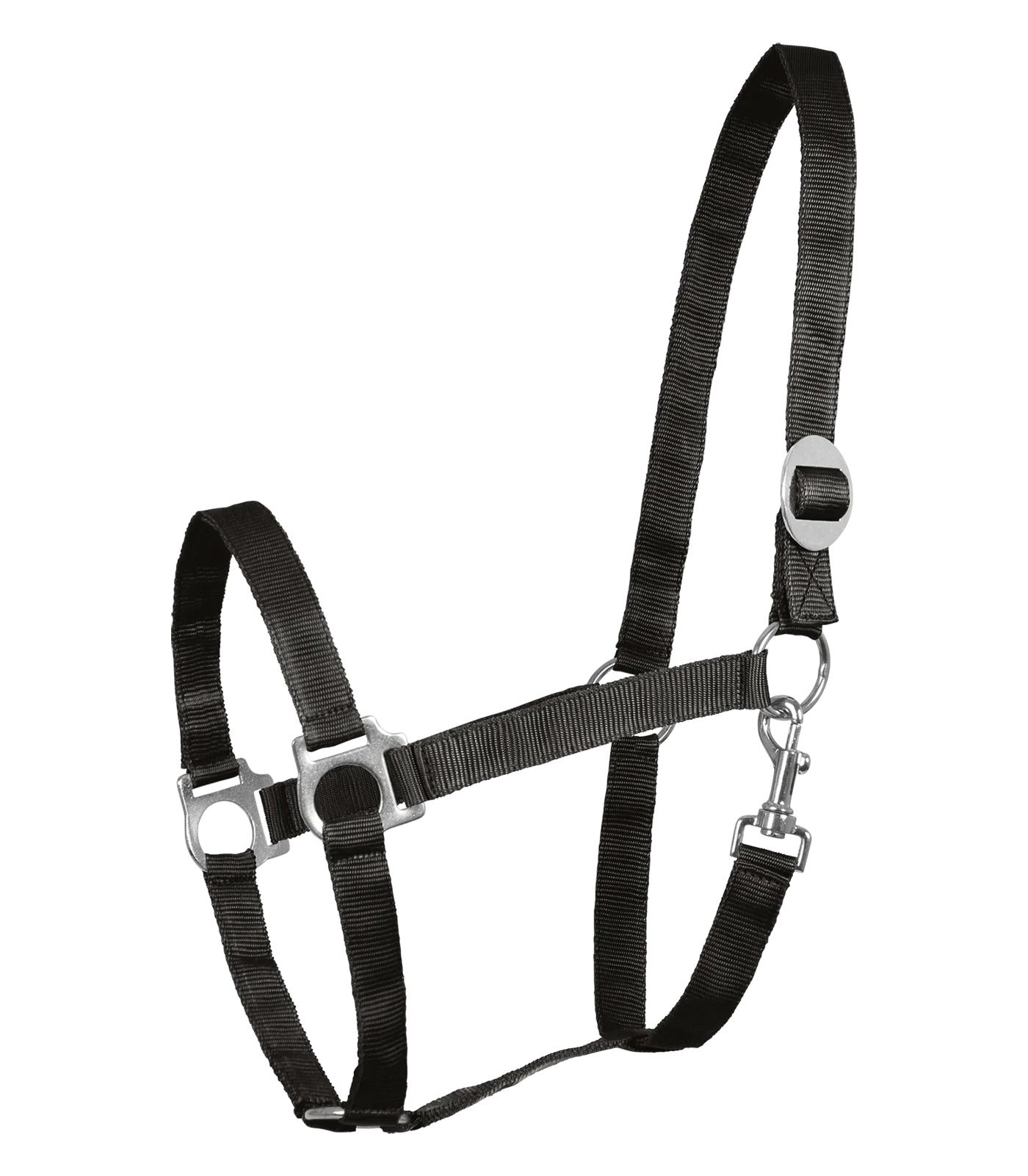 WALDHAUSEN Halfter Perlon – Bild 4