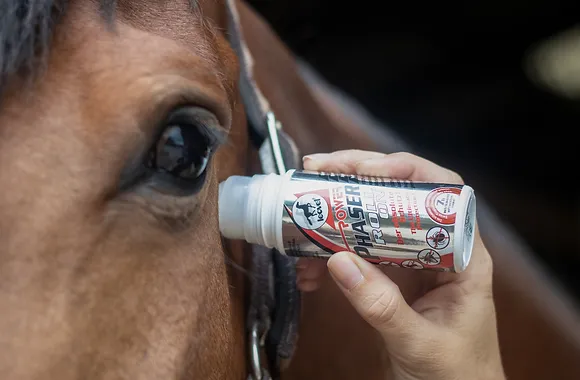 Leovet - Power Phaser - Roll On – Bild 4