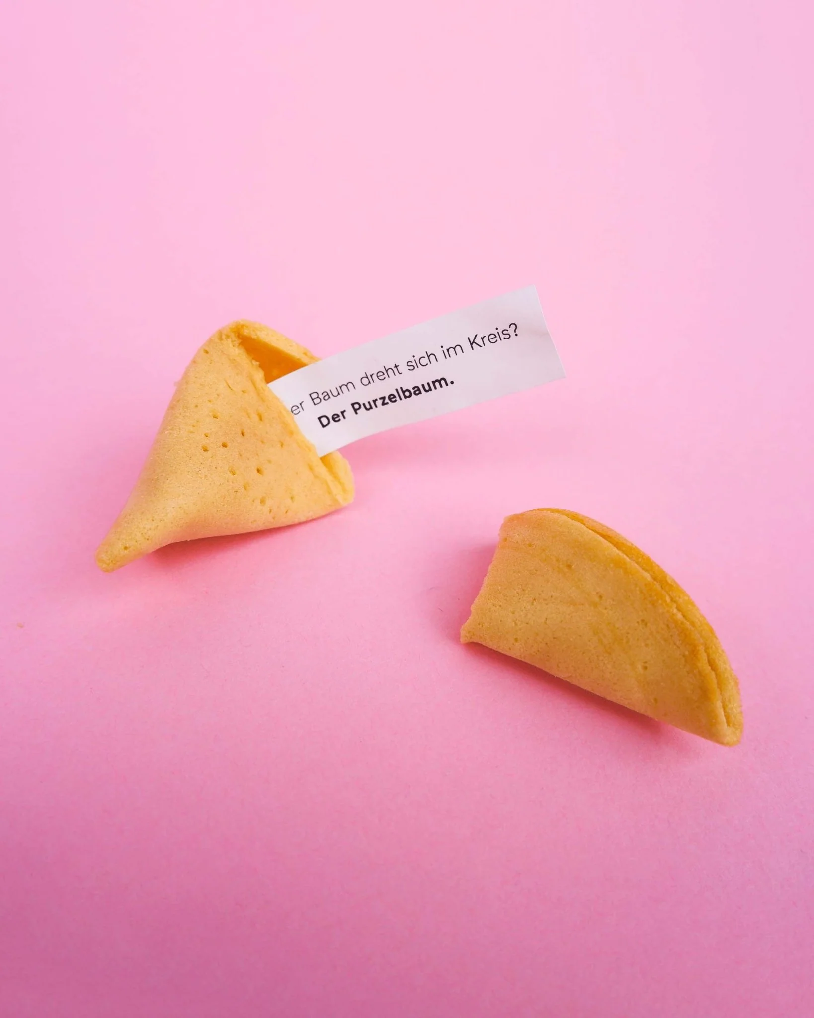 LACHKEKS Ein Witz im Keks – Bild 3